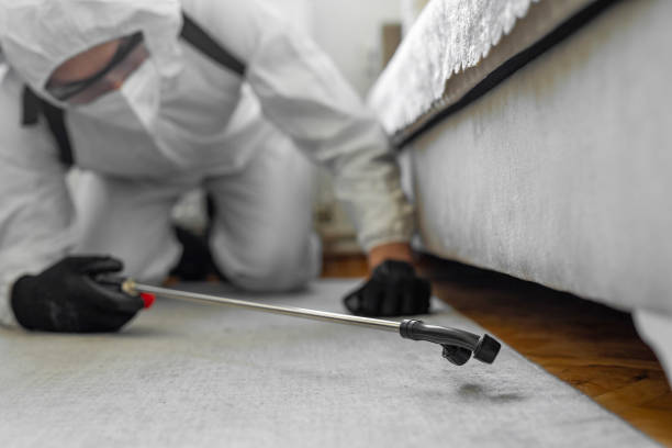 Professional Cockroach Control technician working in Kaplan, LA